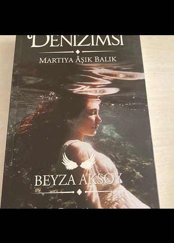 Beyza aksoy denizimsi