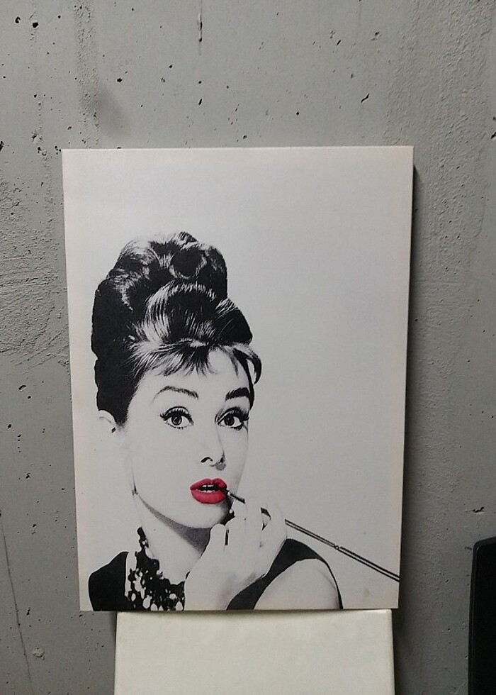 Audrey Hepburn

Tablosu - Görsel 2