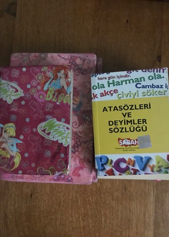 Sözlükler Yazım Kılavuzu ve Atasözleri Kitapları - Görsel 3