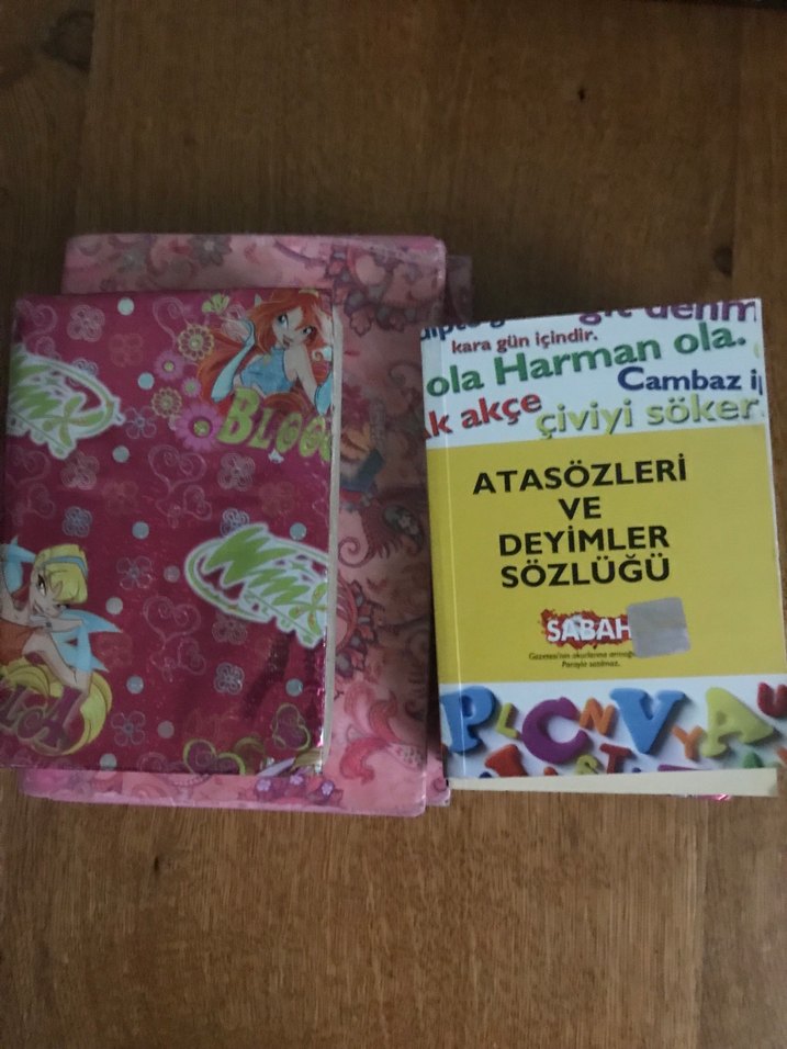 Sözlükler Yazım Kılavuzu ve Atasözleri Kitapları - Görsel 3