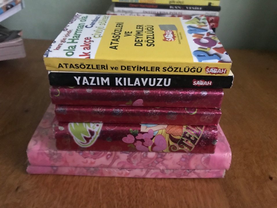 Sözlükler Yazım Kılavuzu ve Atasözleri Kitapları - Görsel 2