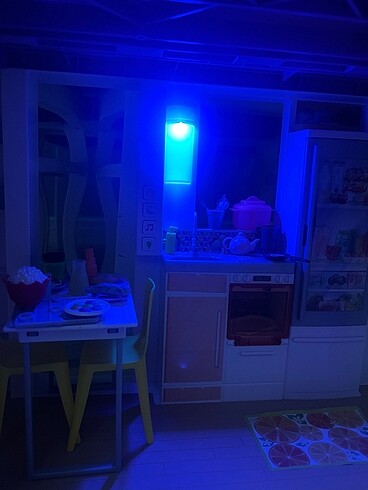 Beden Renk Barbie ev