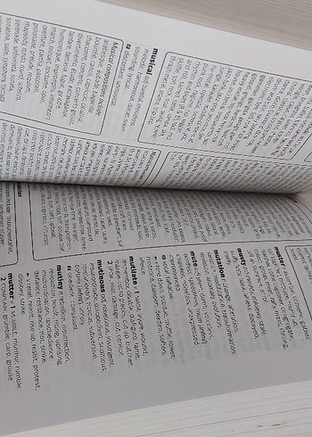 Faydalı Thesaurus sözlük - Görsel 4