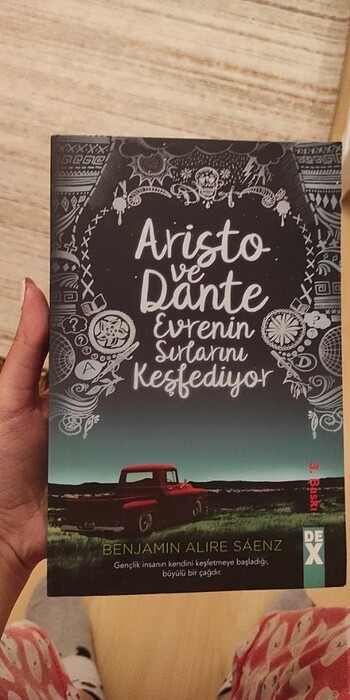 Aristo ve Dante Evrenin Sırlarını Keşfediyor 