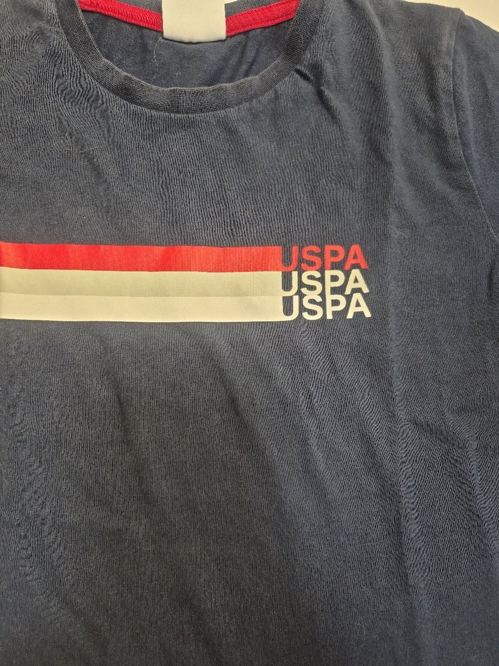 Kısa Kollu Gri Erkek Tişört - Görsel 2