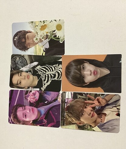 Stray kids