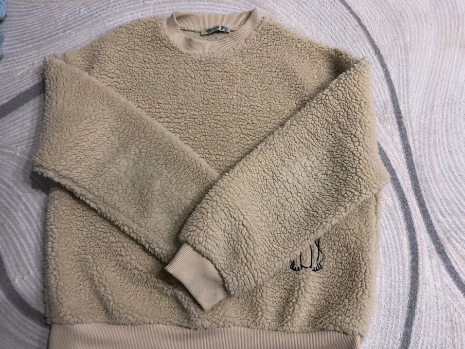 Nakışlı Tüylü Bej Sokak Stili Köpek desenli pofuduk sweatshirt - Görsel 3