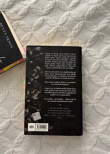 Açık Yaralar ve Dikiş İzleri Serisi - Beyza Aksoy, Epsilon - Görsel 4