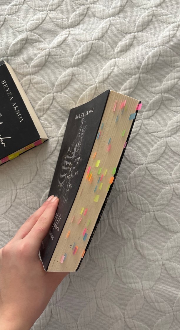 Açık Yaralar ve Dikiş İzleri Serisi - Beyza Aksoy, Epsilon - Görsel 3