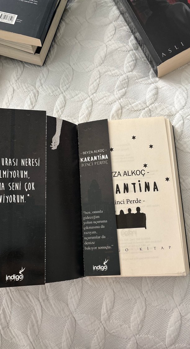 Karantina 2. Kitap - Beyza - Görsel 3
