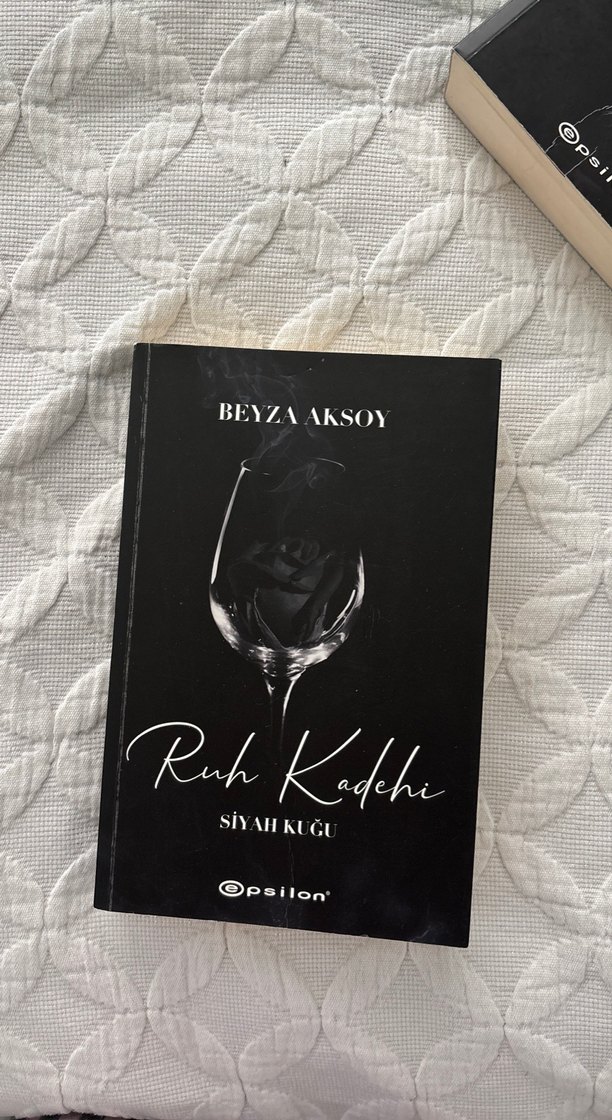 Siyah Kuğu Serisi Beyza Aksoy Epsilon Yayınları - Görsel 5