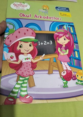 Beden Renk Çilek Kız Çocuk Kitap Seti 4'lü