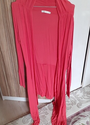 Narcicegi hirka