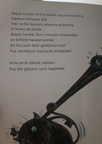 Beden Üç Kedi Bir Dilek