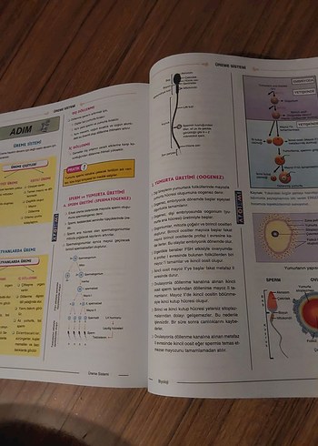 Sistemler Konu Özetli Soru Bankası - Görsel 5