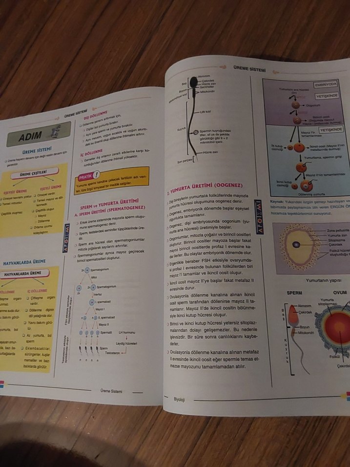 Sistemler Konu Özetli Soru Bankası - Görsel 5