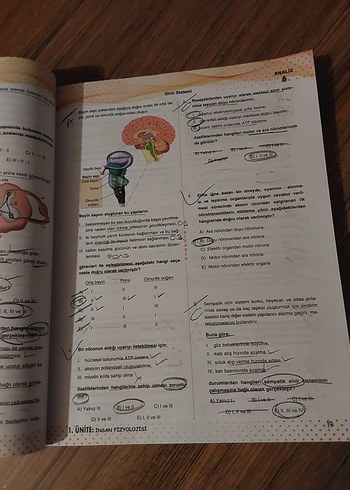 AYT Biyoloji Denemeleri ve Soru Bankası - Görsel 7