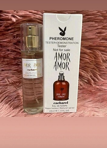 Amir amor 
