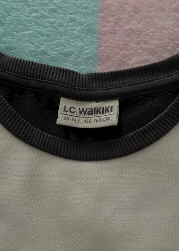 13-14 Yaş Beden Peluş Detaylı Renk Bloklu Kız Sweatshirt