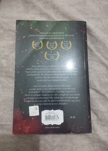Avalon Ejderhası Roman Kitap - Görsel 3