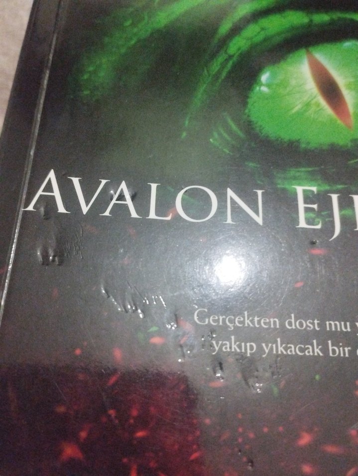 Avalon Ejderhası Roman Kitap - Görsel 2