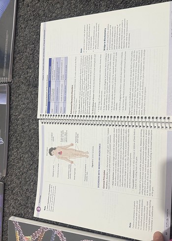 Kaplan USMLE Step 1 2020 Ders Notları Seti - Görsel 7