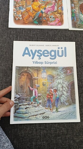 Ayşegül serisi