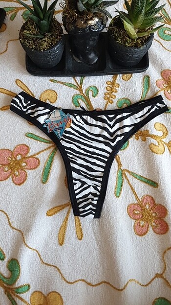 Seksi tanga