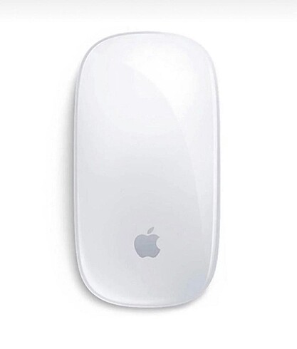 Magic mouse 2