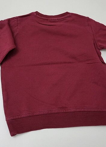 U.S Polo Assn. U.S. Polo Sweatshirt