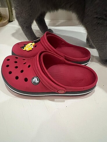 Crocs Temiz