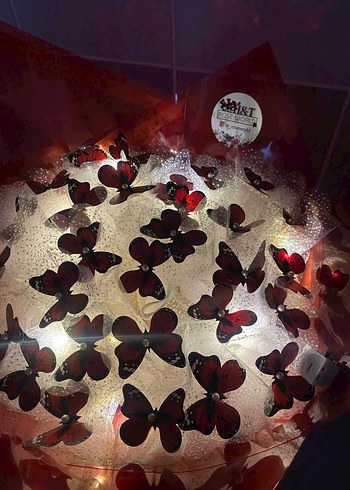 Kırmızı Kelebek buketi - Görsel 2