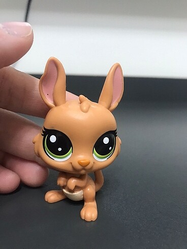 Kanguru miniş
