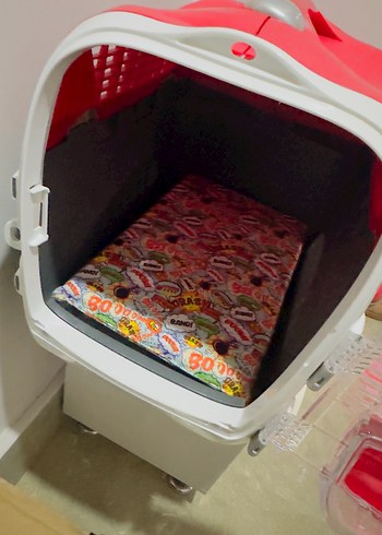 Catit marka kedi taşıma çantası - Görsel 3