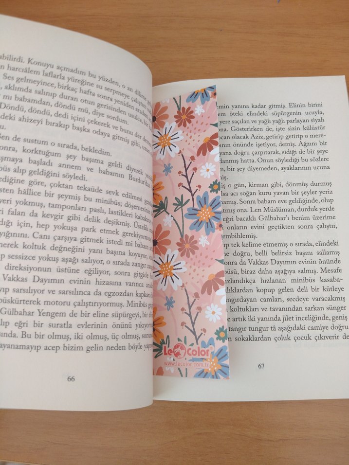 Kuşlar Yasına Gider - Hasan Ali Toptaş - Görsel 2