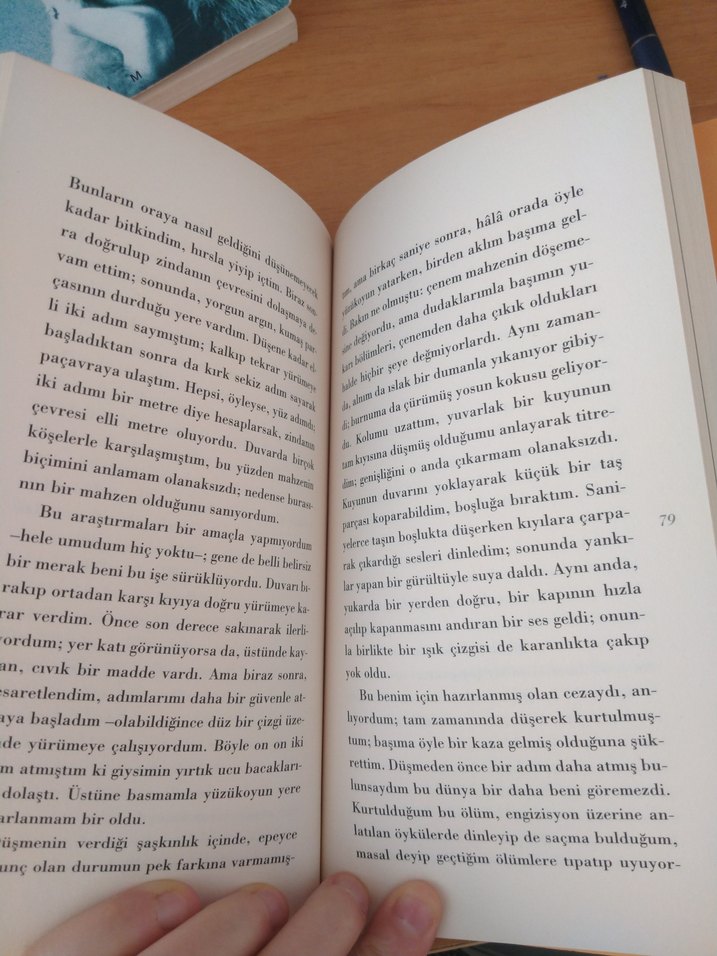 Edgar Allan Poe - Morgue Sokağı Cinayeti - Görsel 2