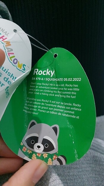  Beden Renk Squishmallows rocky rakun yılbaşı özel 