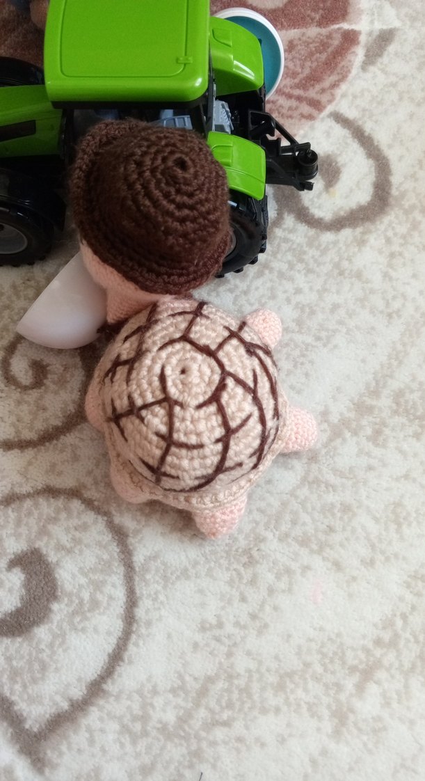 el örgüsü kaplumbağa - Görsel 3