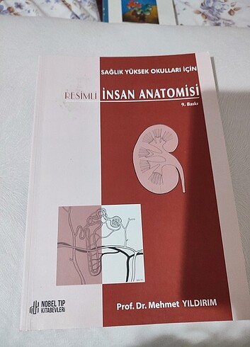 Resimli insan anatomisi
