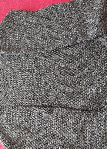 Boyunlu kazak - Görsel 2