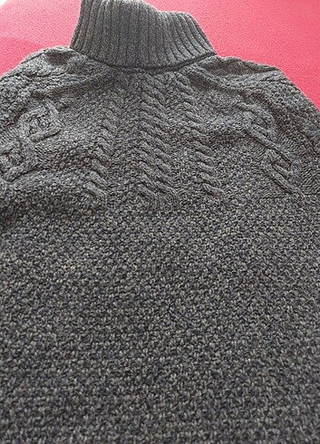 Boyunlu kazak - Görsel 3