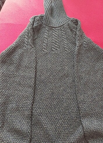 Boyunlu kazak - Görsel 4