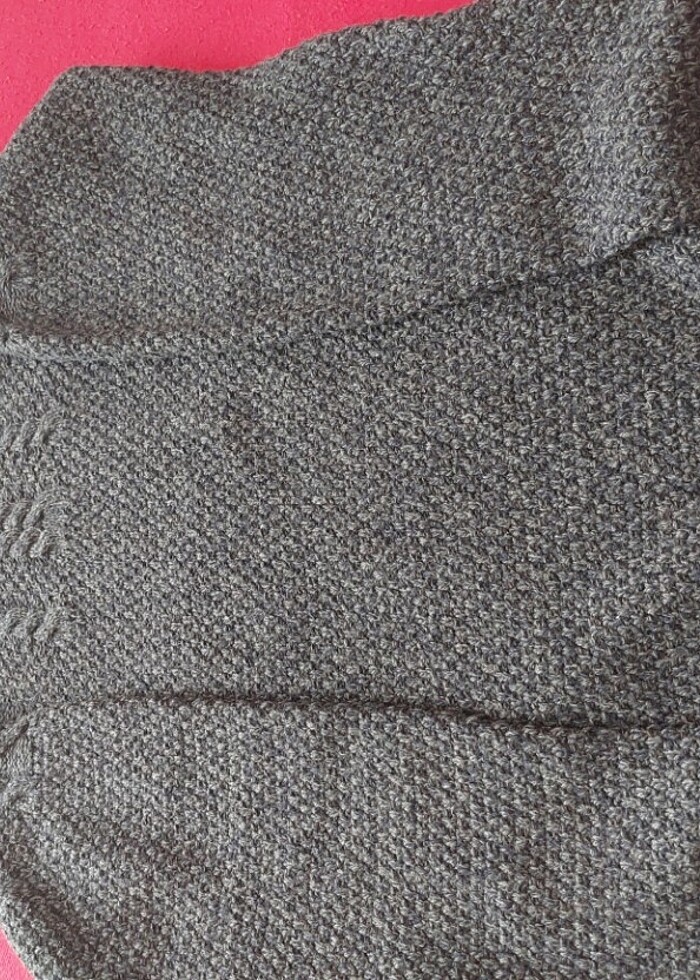 Boyunlu kazak - Görsel 2