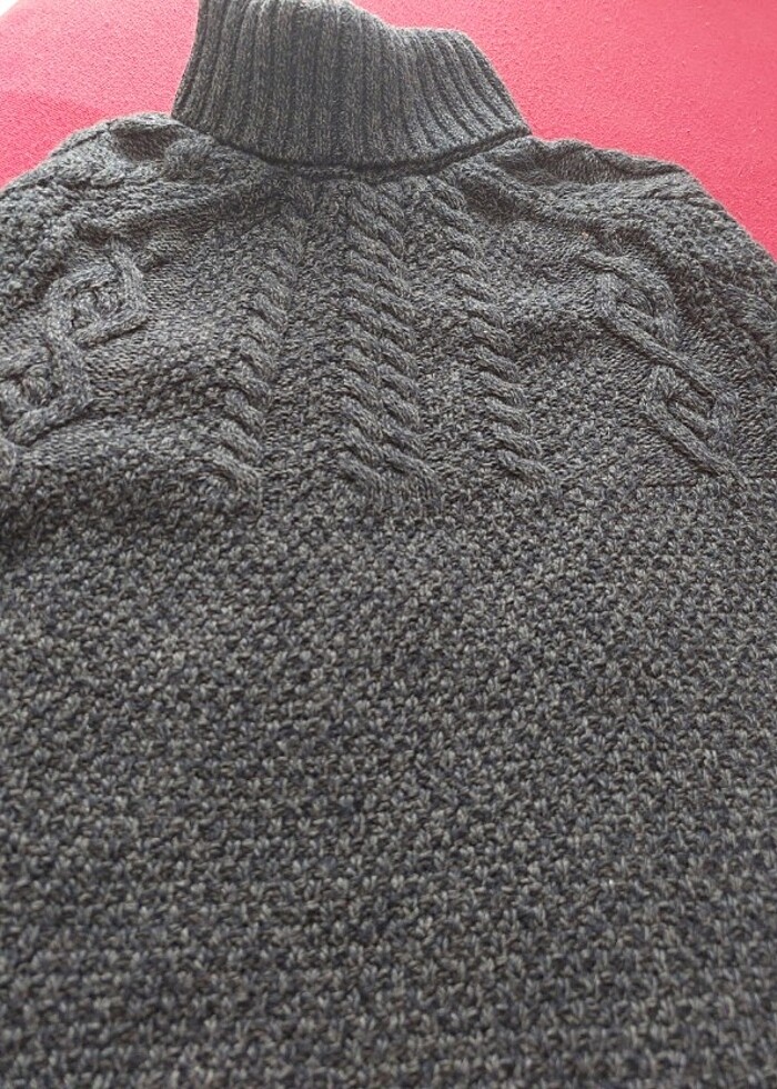 Boyunlu kazak - Görsel 3