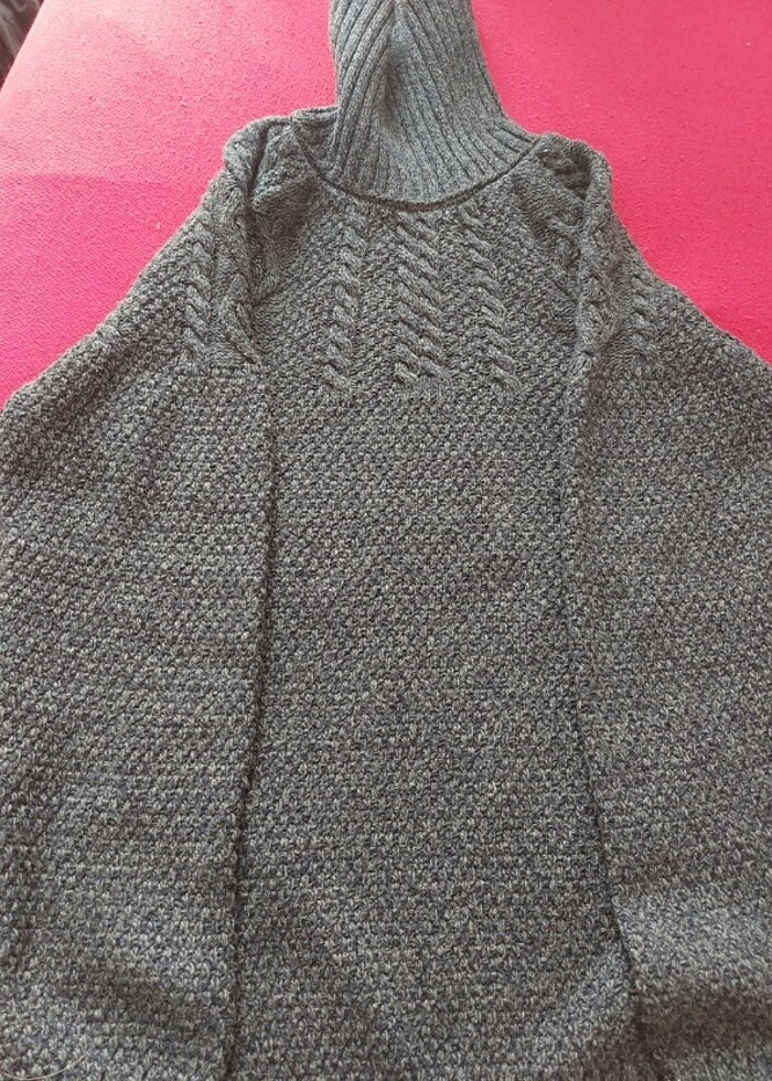 Boyunlu kazak - Görsel 4