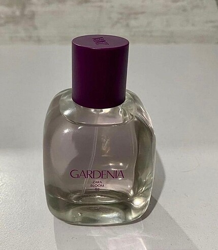 zara gardenia parfüm