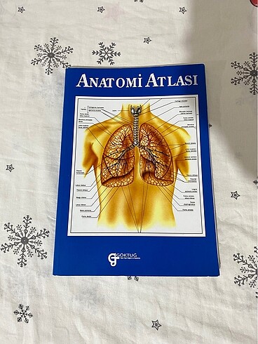 anatomi atlası göktuğ yayınları