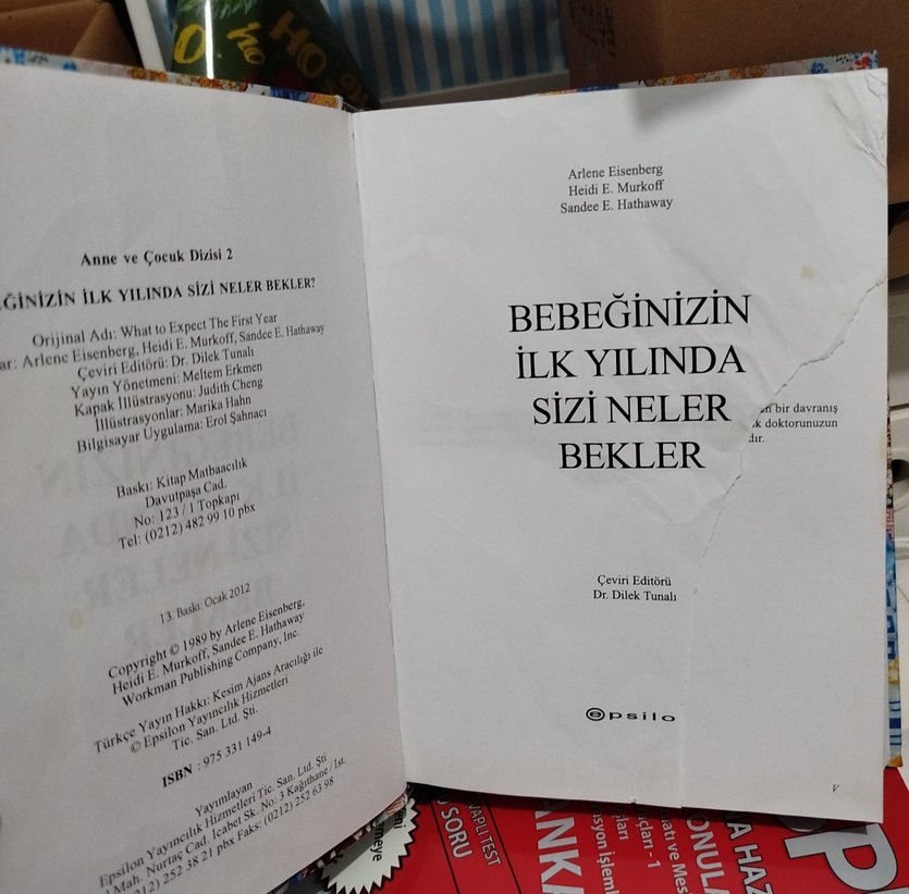 Bebeğinizin İlk Yılında Sizi Neler Bekler Kitabı - Görsel 5