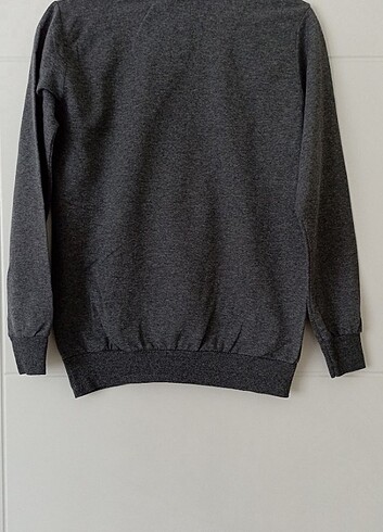 Gri Kazak - Görsel 2