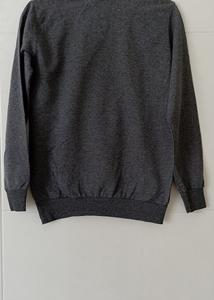 Gri Kazak  - Görsel 2